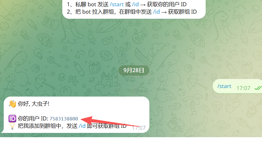 启动机器人并获取用户 ID、群组 ID 的示例截图